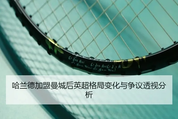 ha-lan-de-jia-meng-man-cheng-hou-ying-chao-ge-ju-bian-hua-yu-zheng-yi-tou-shi-fen-xi-2-111.jpg