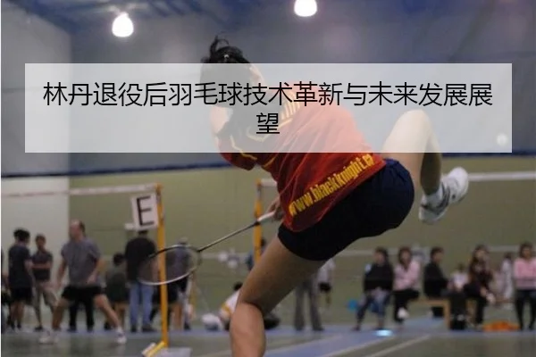 lin-dan-tui-yi-hou-yu-mao-qiu-ji-shu-ge-xin-yu-wei-lai-fa-zhan-zhan-wang-1-817.jpg（MKSports）